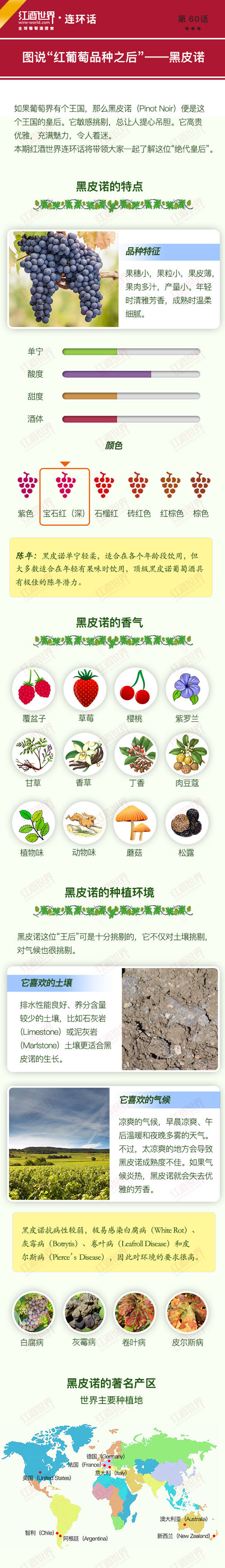 红酒世界连环话：图说“红葡萄品种之后”——黑皮诺