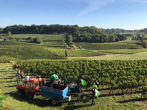 JS波尔多2017年高分期酒出炉,滴金、拉图领衔