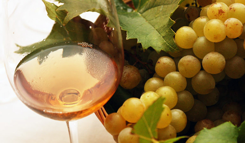 春暖花开，许你一杯芳香型白葡萄酒