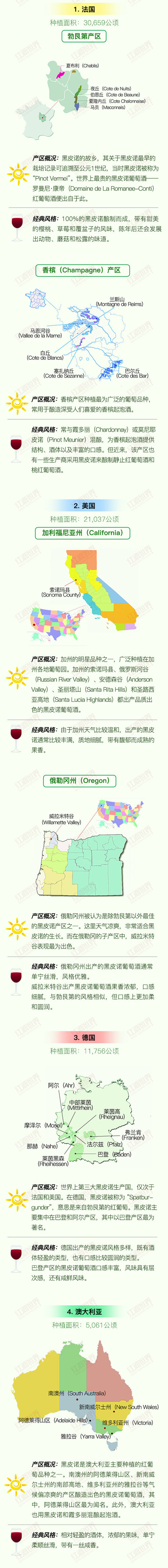 红酒世界连环话：图说“红葡萄品种之后”——黑皮诺