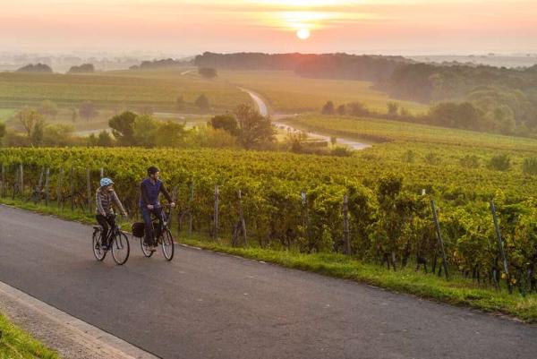 德国葡萄酒常见术语汇总