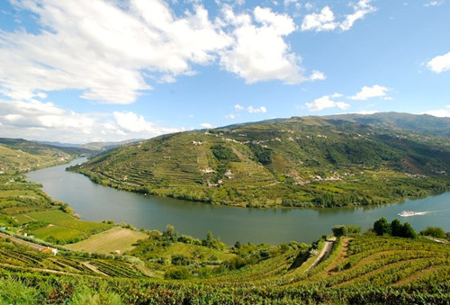 红酒世界对话葡萄牙葡萄酒行业协会