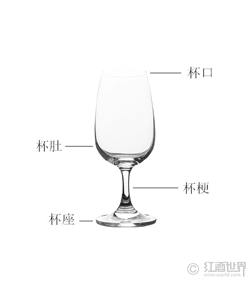 「葡萄酒」你认识葡萄酒杯的结构吗？