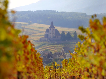 金秋十月，来一场说走就走的法国葡萄酒产区之旅
