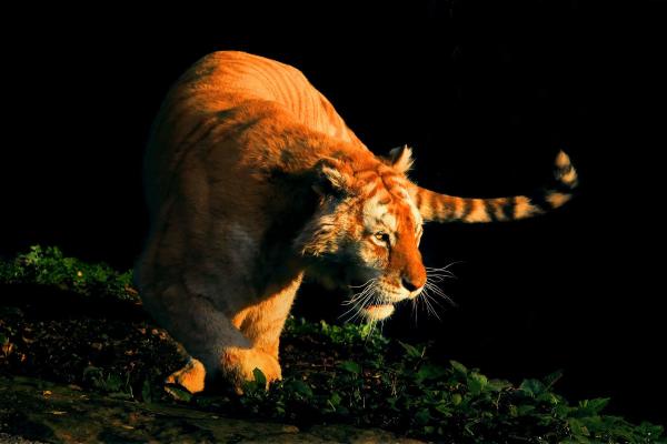 摄影大咖镜头里的乐和乐都，充满了欢乐！