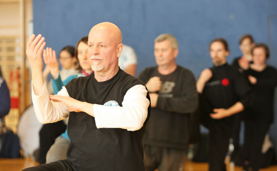 “一带一路”中国太极文化世界行公益活动维也纳站圆满落幕