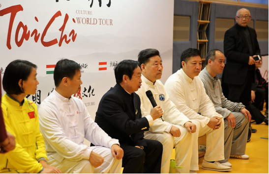“一带一路”中国太极文化世界行公益活动维也纳站圆满落幕