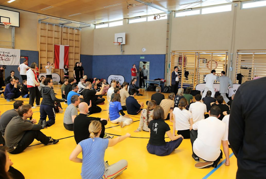 “一带一路”中国太极文化世界行公益活动维也纳站圆满落幕