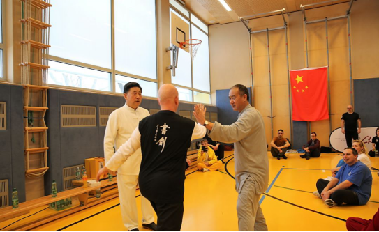 “一带一路”中国太极文化世界行公益活动维也纳站圆满落幕