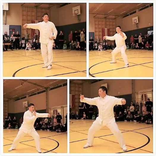 “一带一路”中国太极文化世界行公益活动维也纳站圆满落幕