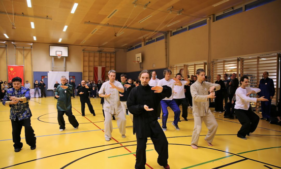 “一带一路”中国太极文化世界行公益活动维也纳站圆满落幕