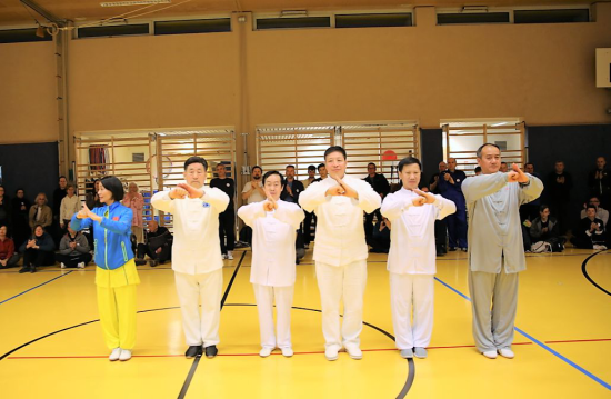 “一带一路”中国太极文化世界行公益活动维也纳站圆满落幕