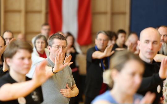 “一带一路”中国太极文化世界行公益活动维也纳站圆满落幕