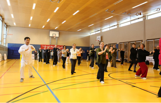 “一带一路”中国太极文化世界行公益活动维也纳站圆满落幕