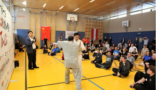 “一带一路”中国太极文化世界行公益活动维也纳站圆满落幕