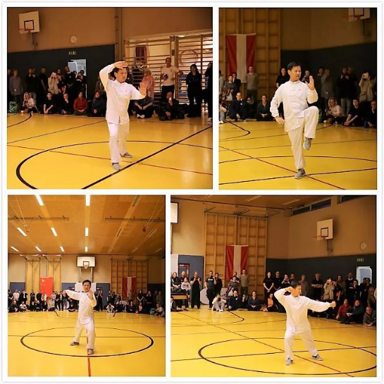 “一带一路”中国太极文化世界行公益活动维也纳站圆满落幕