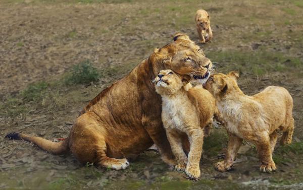 摄影大咖镜头里的乐和乐都，充满了欢乐！