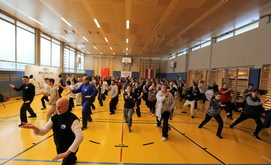 “一带一路”中国太极文化世界行公益活动维也纳站圆满落幕