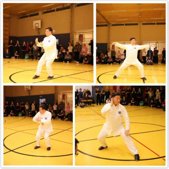 “一带一路”中国太极文化世界行公益活动维也纳站圆满落幕