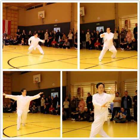 “一带一路”中国太极文化世界行公益活动维也纳站圆满落幕