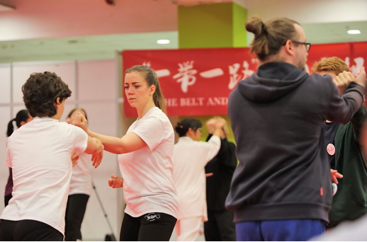 “一带一路”中国太极文化世界行收官站于布达佩斯落下帷幕