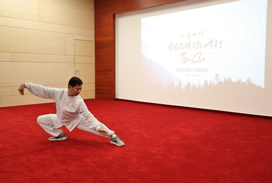 “一带一路”中国太极文化世界行收官站于布达佩斯落下帷幕