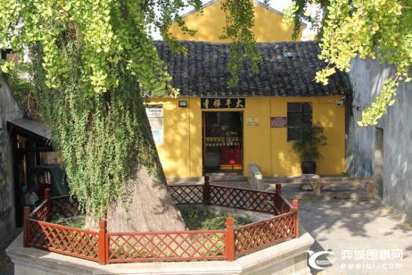 第四届太平书镇杯元老赛开幕 聂卫平执黑对华以刚