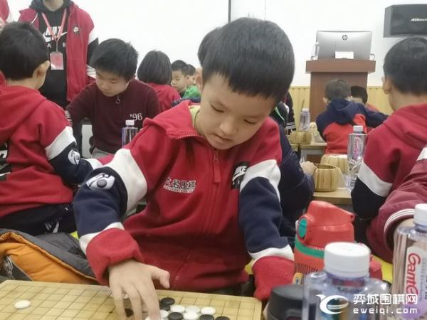 2019“大名杯”少儿围棋公开赛开战 80名小棋手参赛