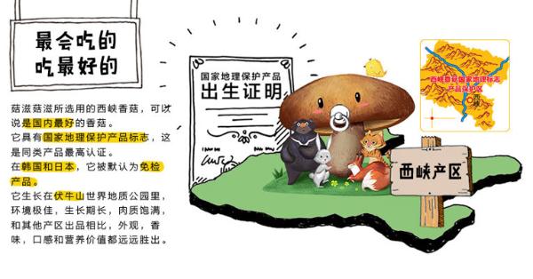 好吃不怕胖,健康轻零食“菇滋菇滋”锁住菌菇95%的营养