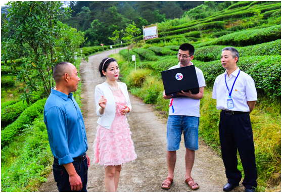 福建武夷山首秀“5G云赏茶”，中国电信智慧生态茶园添亮色