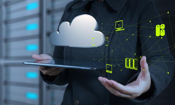 福建武夷山首秀“5G云赏茶”，中国电信智慧生态茶园添亮色