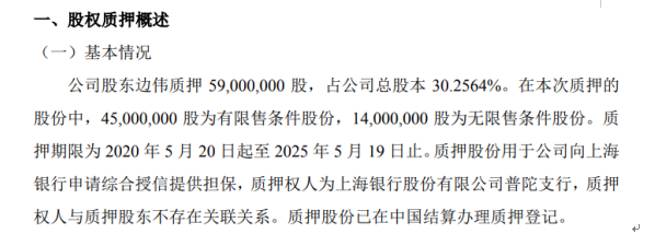 置辰智慧股东边伟质押5900万股 用于向上海银行申请综合授信提供担保