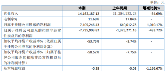 元盛光电2019年亏损710.52万亏损增加 销售大幅下降