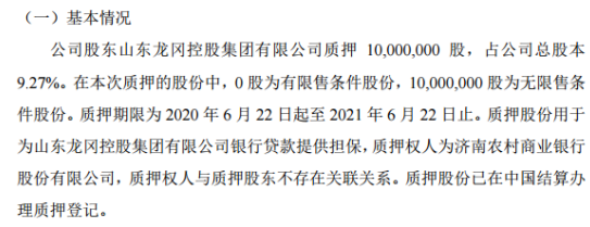 龙冈旅游控股股东质押1000万股 用于贷款提供担保