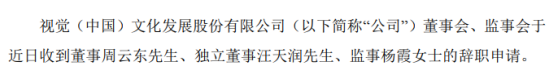 视觉中国独立董事汪天润辞职 2019年薪酬为10万元