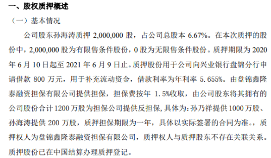 科宇股份2名股东合计质押1200万股 用于补充流动资金