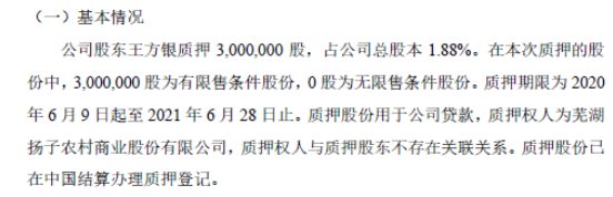 美佳新材控股股东王方银质押300万股 用于公司贷款
