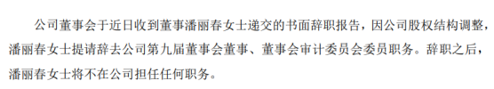 浙大网新董事潘丽春辞职 因公司股权结构调整
