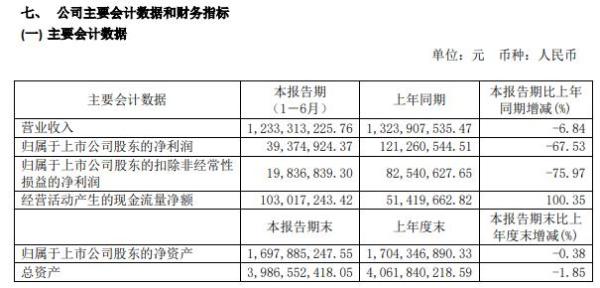 大业股份2020年上半年净利3937.49万减少68% 下游轮胎市场刚需逐渐释放