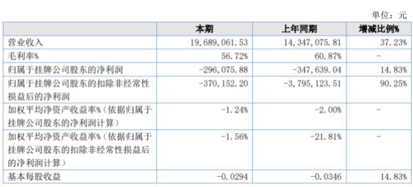 维数软件2020年上半年亏损29.61万亏损减少 软件技术开发收入增加