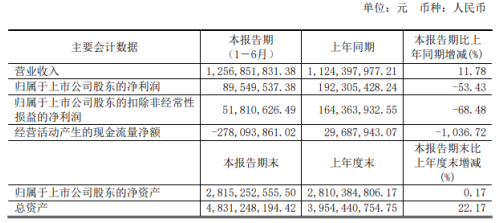 安正时尚2020年上半年净利8954.95万减少53.43% 营业成本增加及毛利率降低