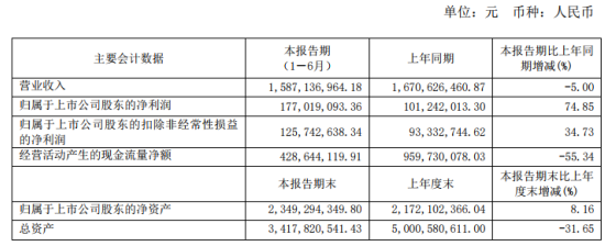 冠农股份2020年上半年净利1.77亿增长74.85% 收入增加