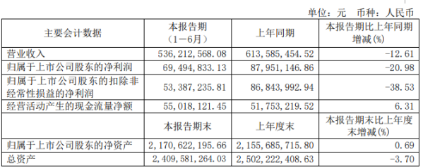 元利科技2020年上半年净利6949.48万下滑20.98% 受疫情影响收入同比下降