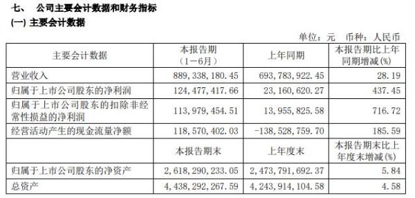 禾望电气2020年上半年净利1.24亿增长437% 风电业务收入增长