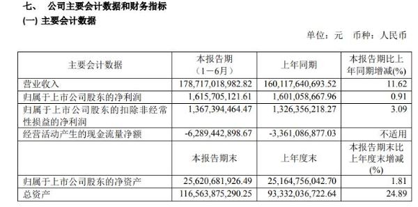 物产中大2020年上半年净利16.16亿增长1% 重点项目推进有力