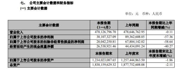 国检集团2020年上半年净利3810.73万 同比减少57%