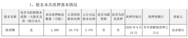 国脉科技控股股东陈国鹰质押4500万股