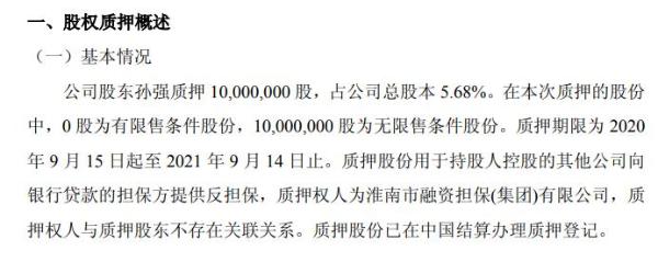 润成科技股东孙强质押1000万股 用于担保方提供反担保