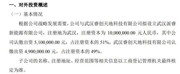 派诺科技对外投资设立控股子公司 注册资本为1000万元