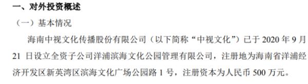 中视文化设立全资子公司 注册资本为500万元